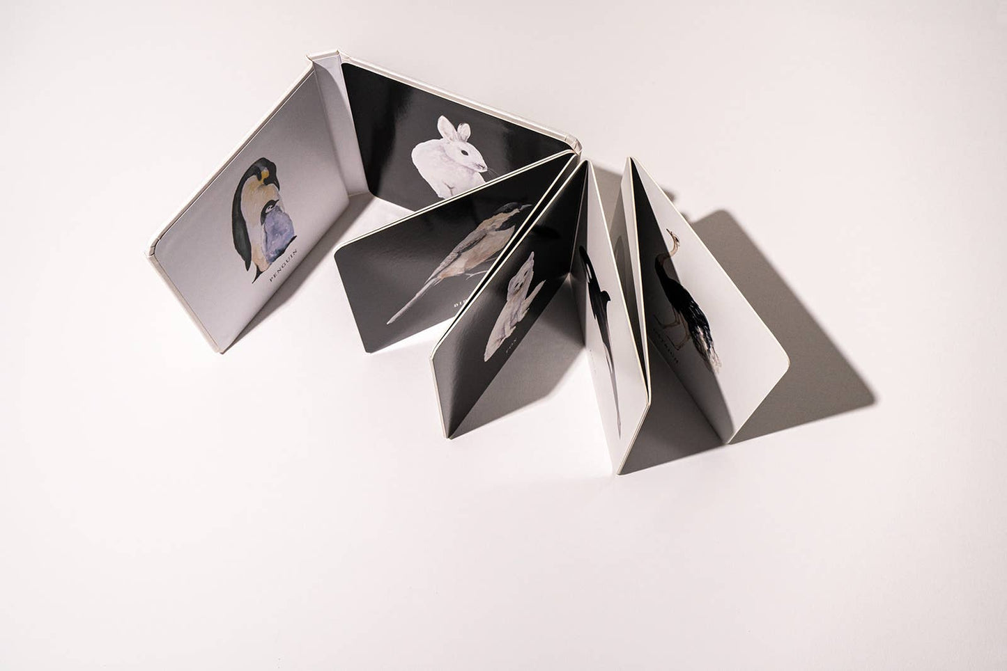 Black and White Contrast Book for Baby - Magpies Paducah