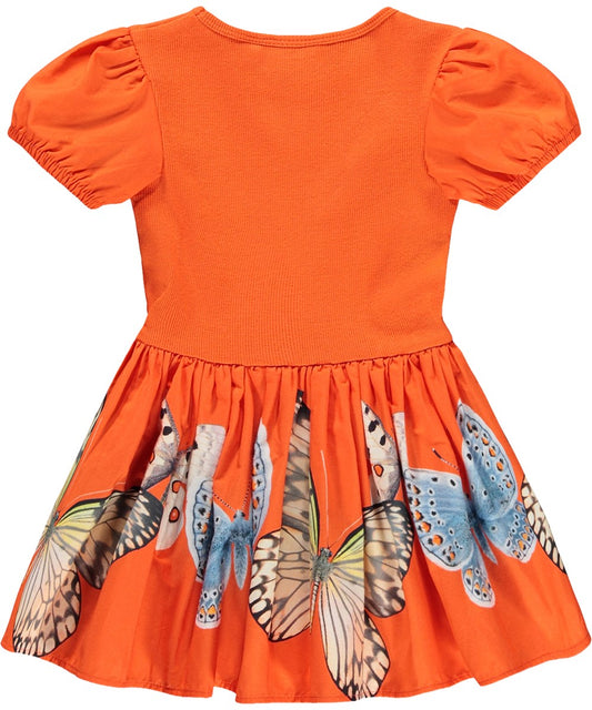 Caitlyn Dress, Fluttering - Magpies Paducah