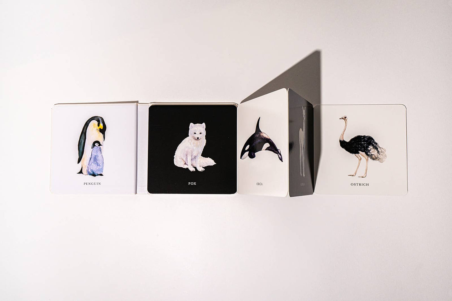 Black and White Contrast Book for Baby - Magpies Paducah