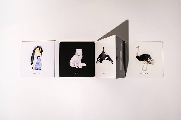 Black and White Contrast Book for Baby - Magpies Paducah