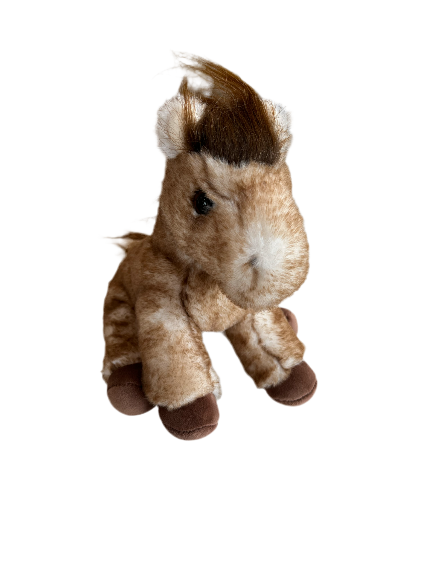 Dustie Mini Horse - Magpies Paducah