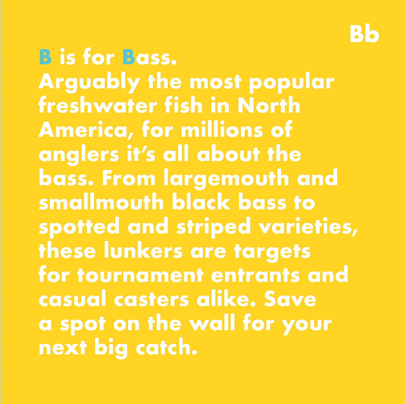 Fish Alphabet Book - Magpies Paducah