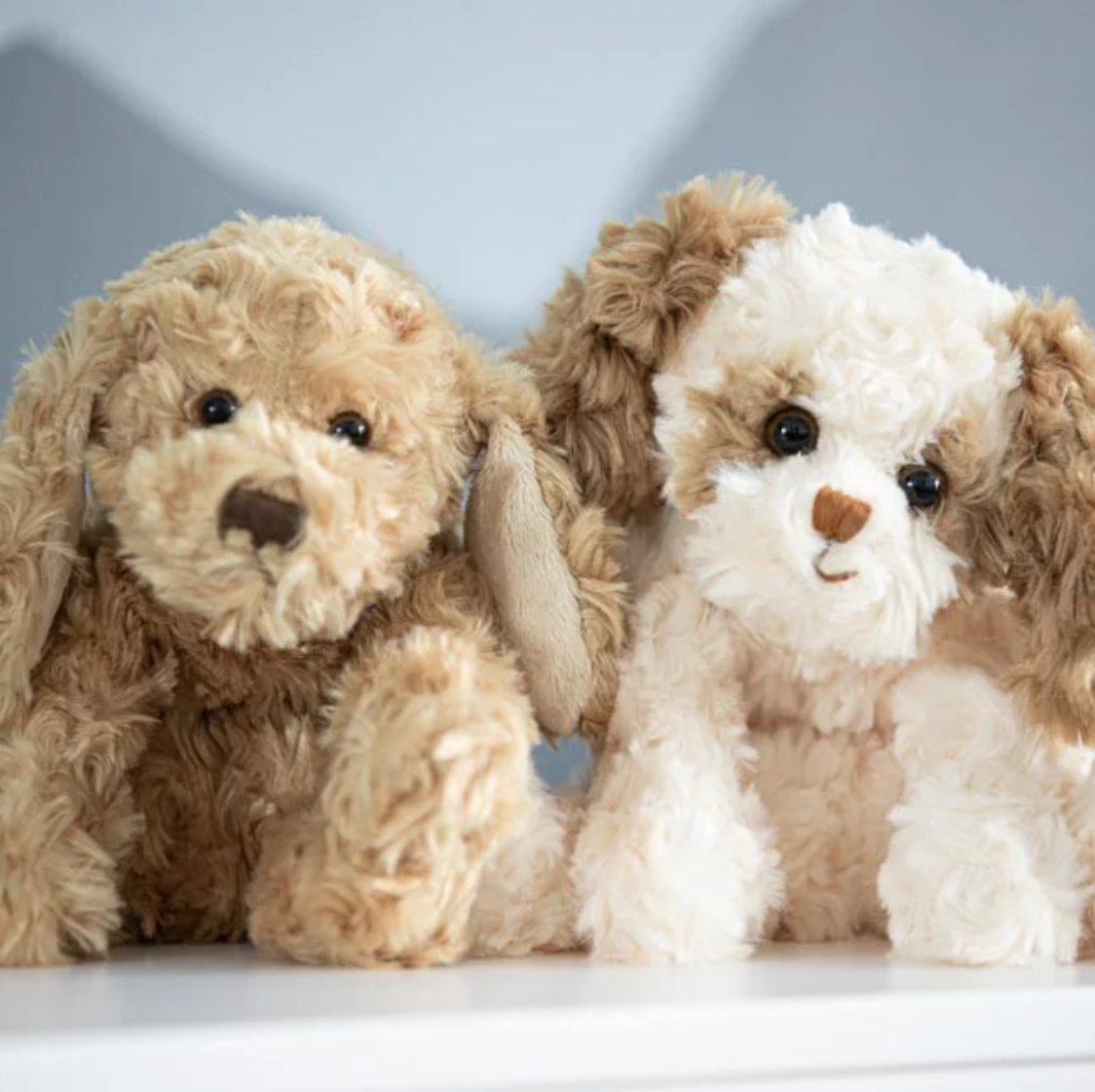 Buddy - Magpies Paducah