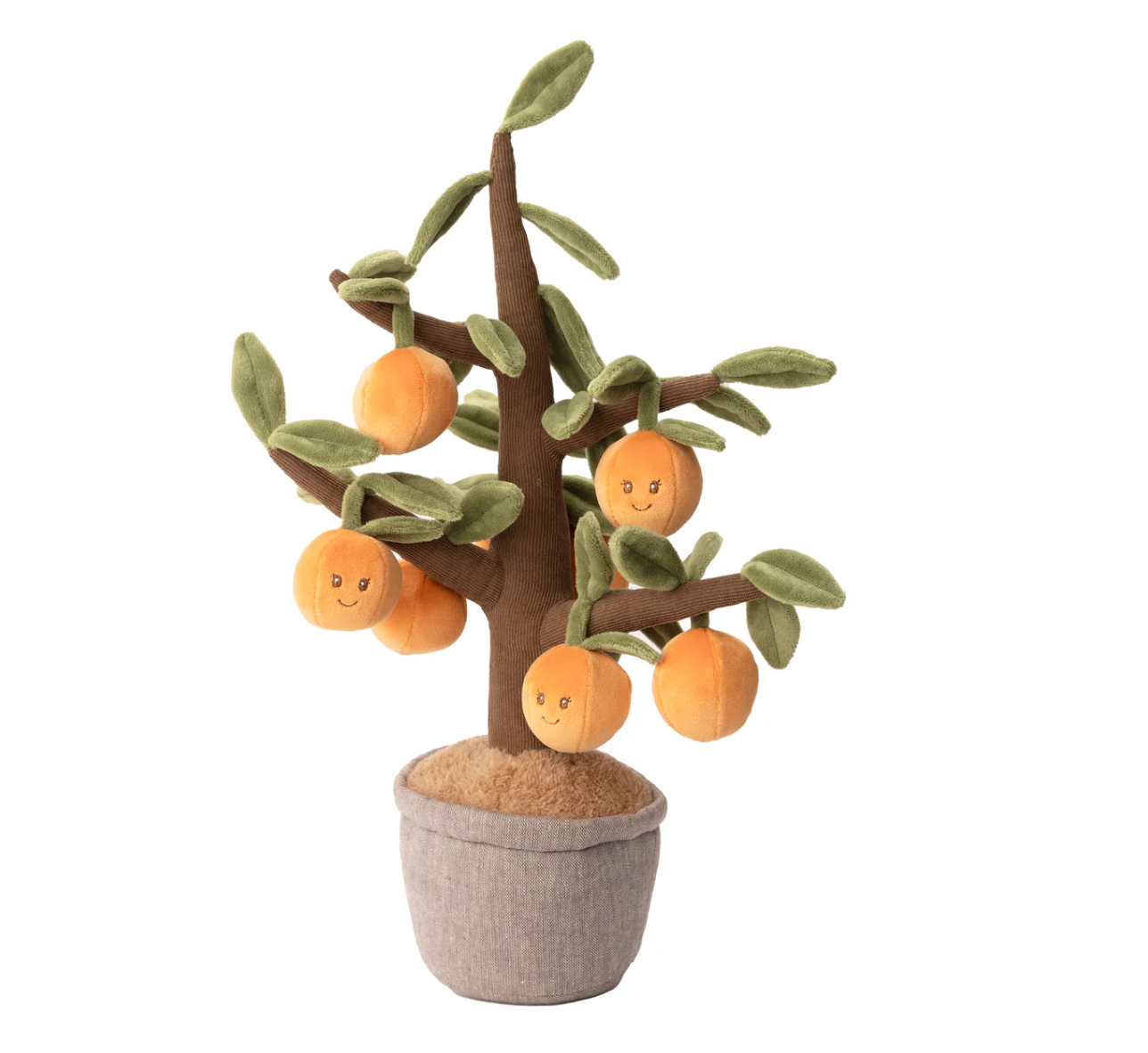 Orange Tree - Magpies Paducah