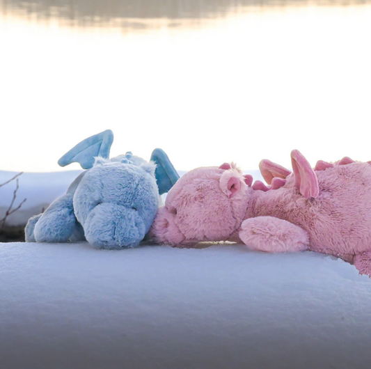 Laying Drago, Ruby - Magpies Paducah