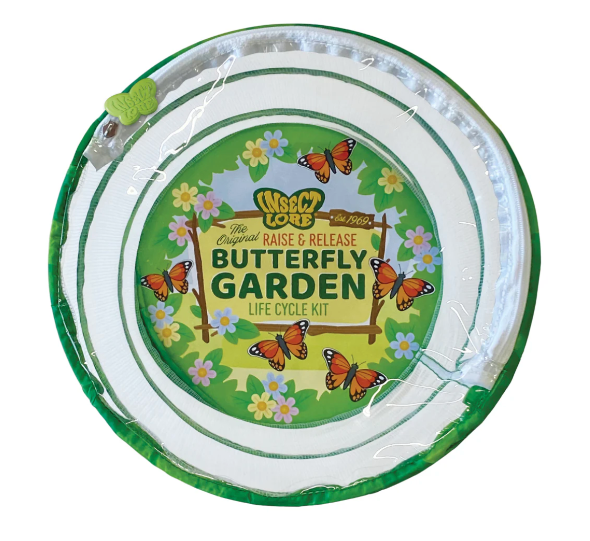 Butterfly Garden 🦋