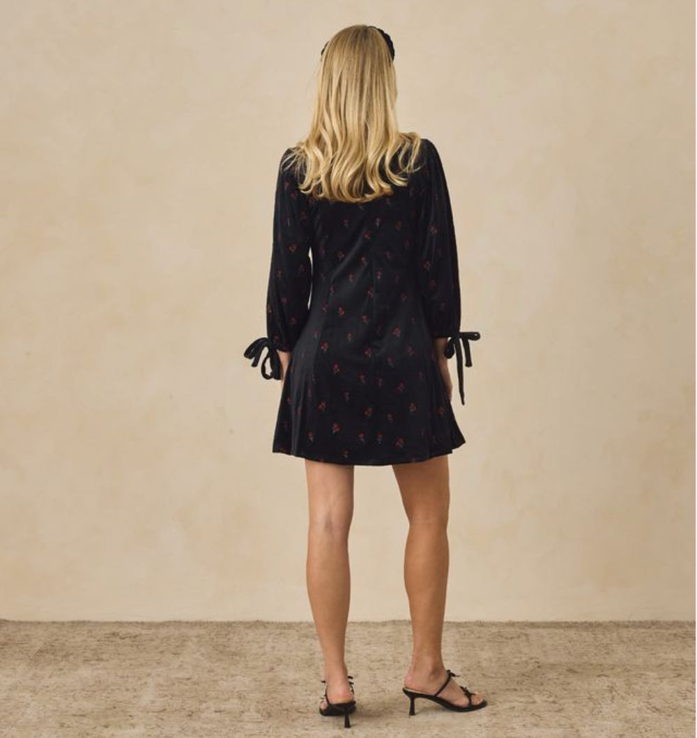 Morgan Dress, Velvet Floral