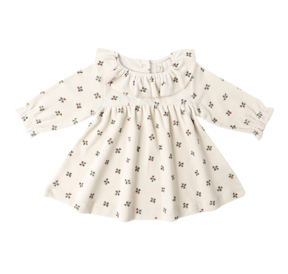 Velour Baby Dress, Holly Berry