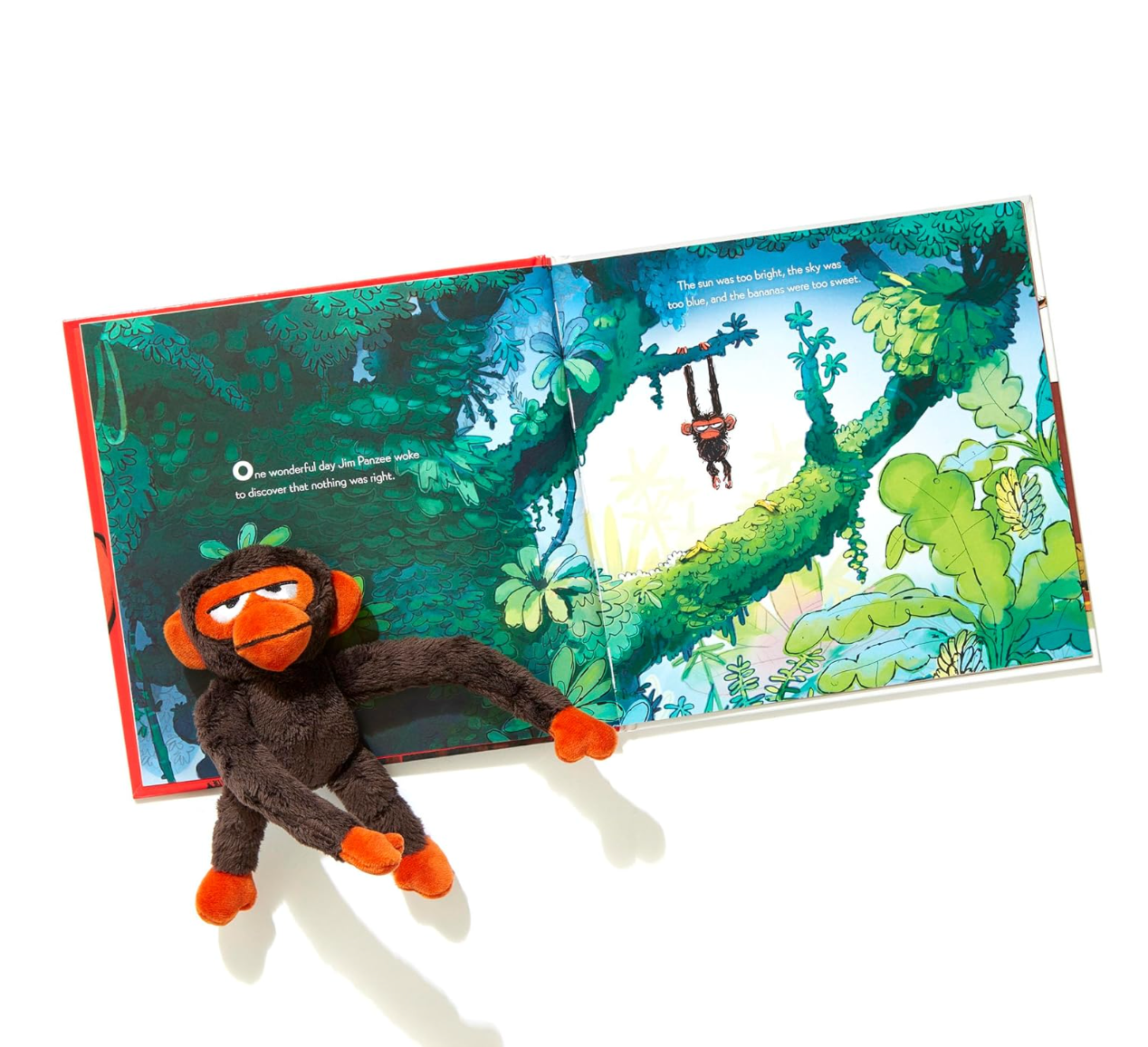 Grumpy Monkey Toy Set