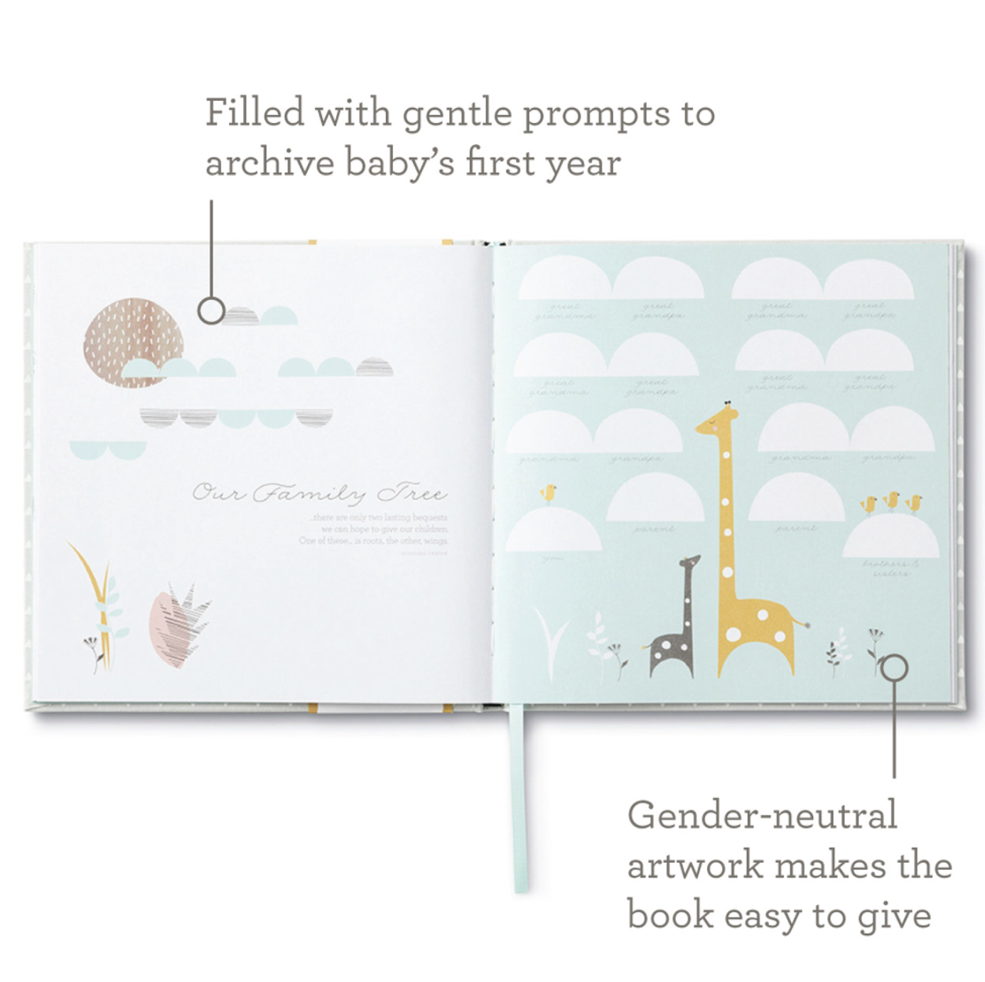 Hello Little One - A Baby Book - Magpies Paducah