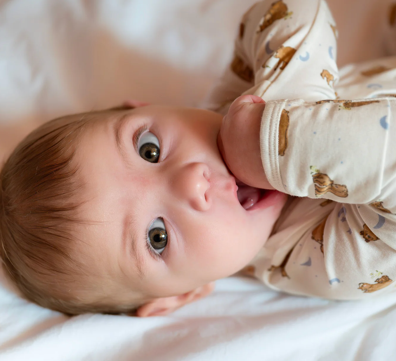 Modal Footie, Wildly Loved - Magpies Paducah