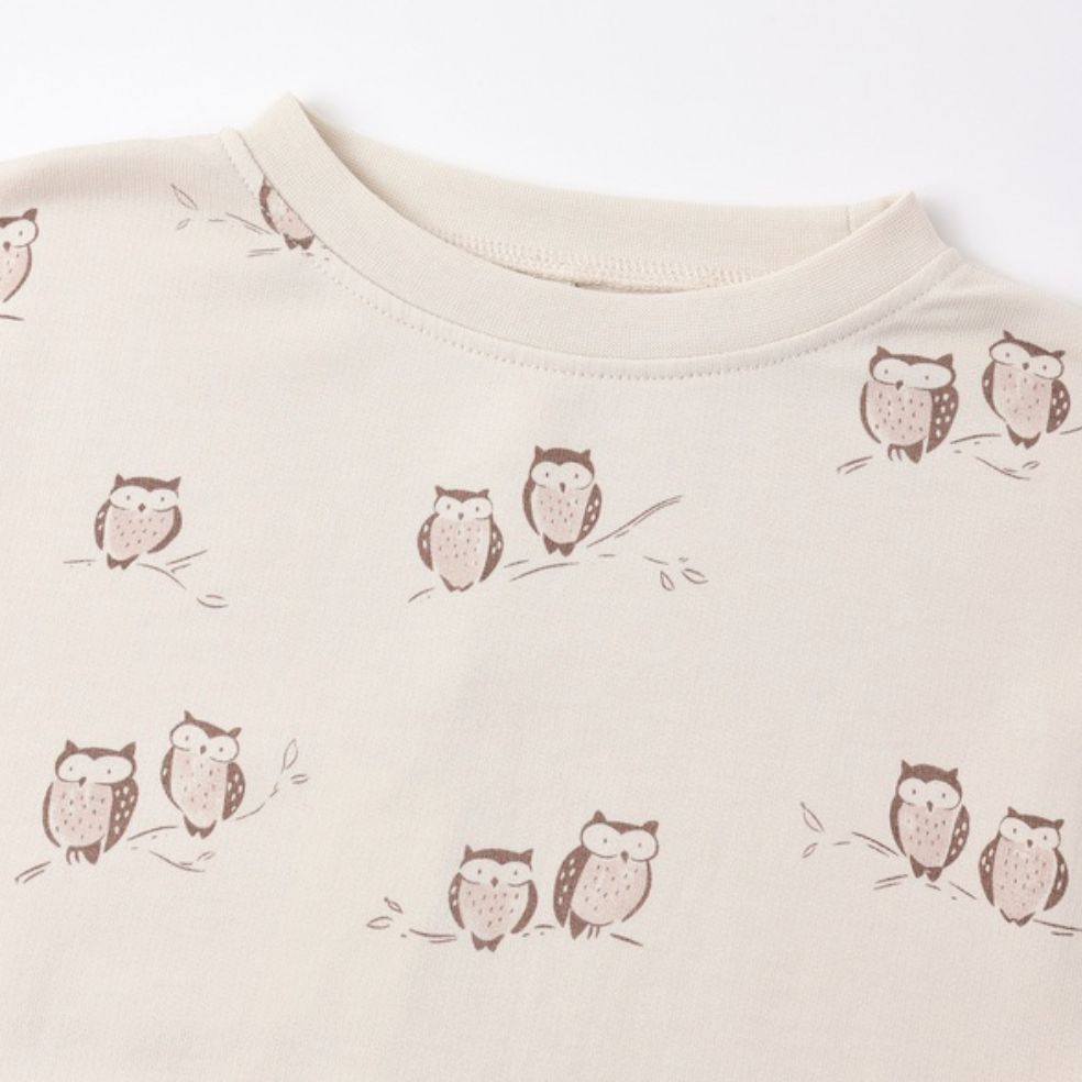 Raglan Dress, Owls