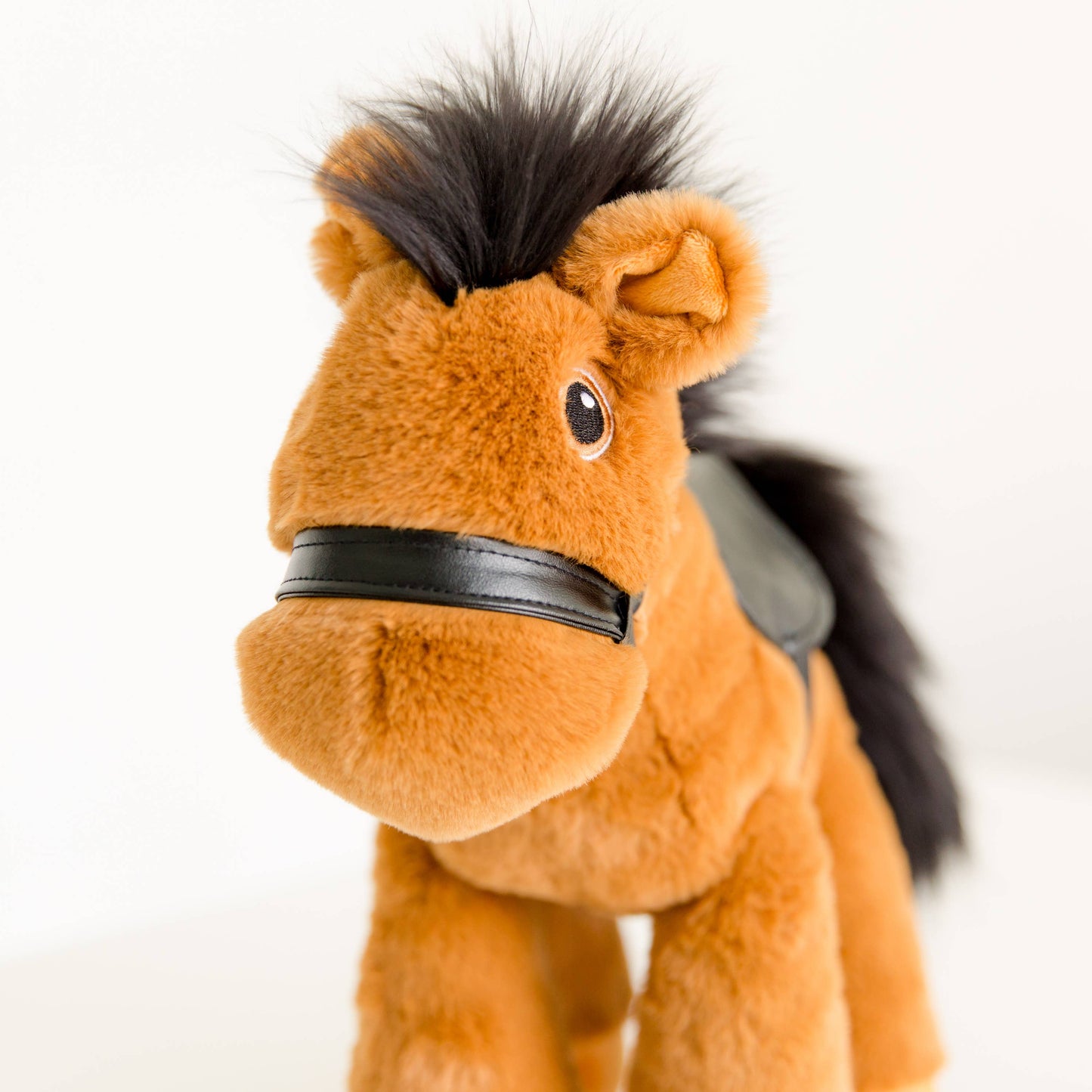 Chestnut Race Horse