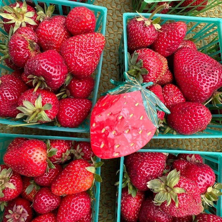 Hand-painted Strawberry Fruit Claw Hair Clip