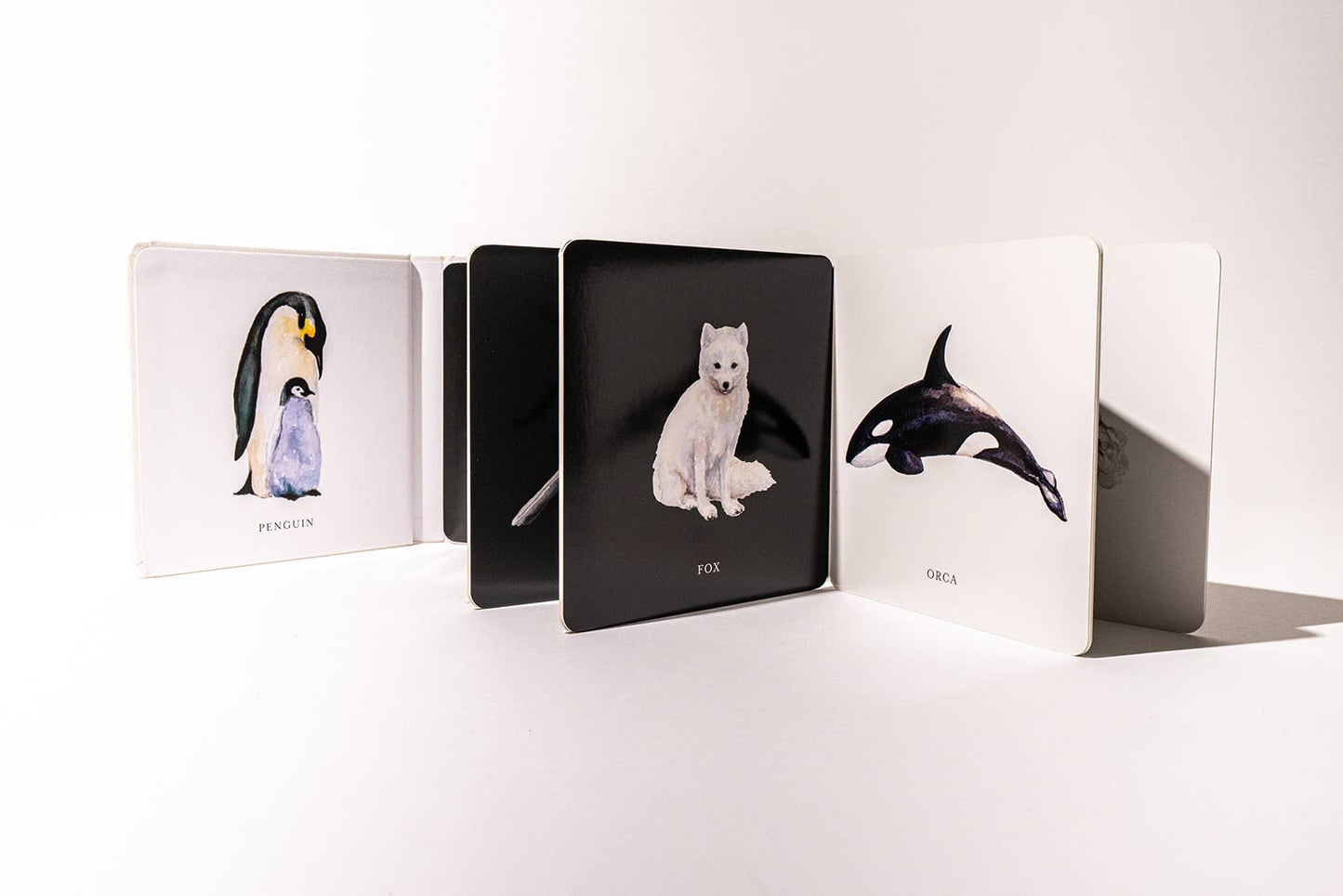 Black and White Contrast Book for Baby - Magpies Paducah