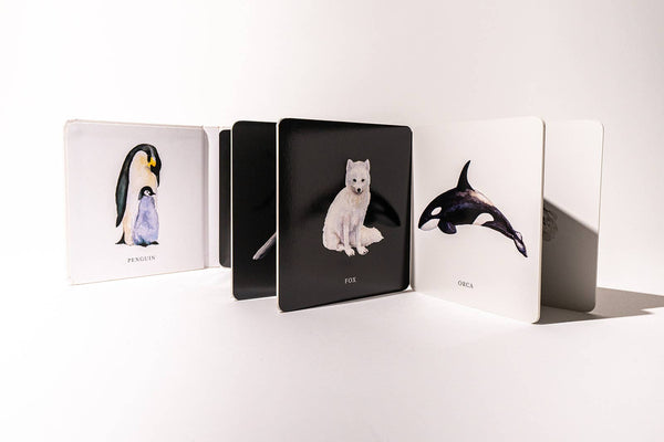 Black and White Contrast Book for Baby - Magpies Paducah