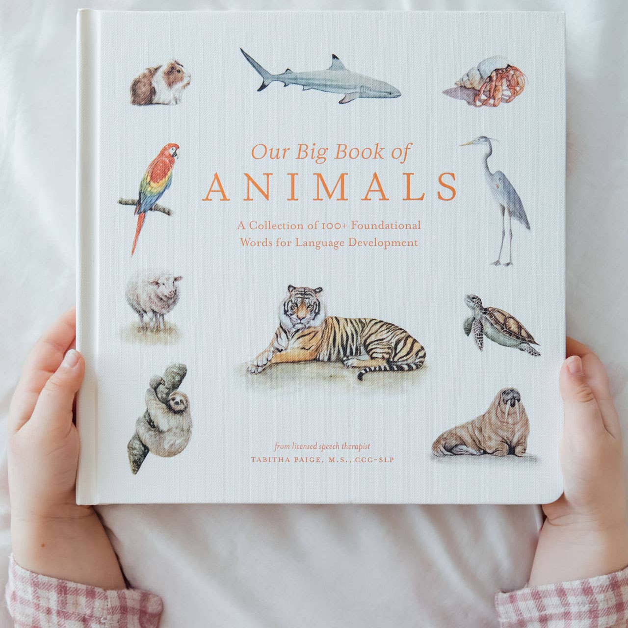 Our Big Book of Animals (Board Book) - Magpies Paducah