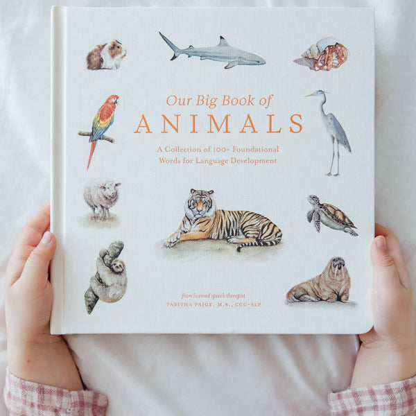 Our Big Book of Animals (Board Book) - Magpies Paducah