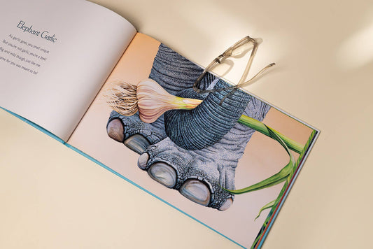 You Stole My Name Too - Magpies Paducah