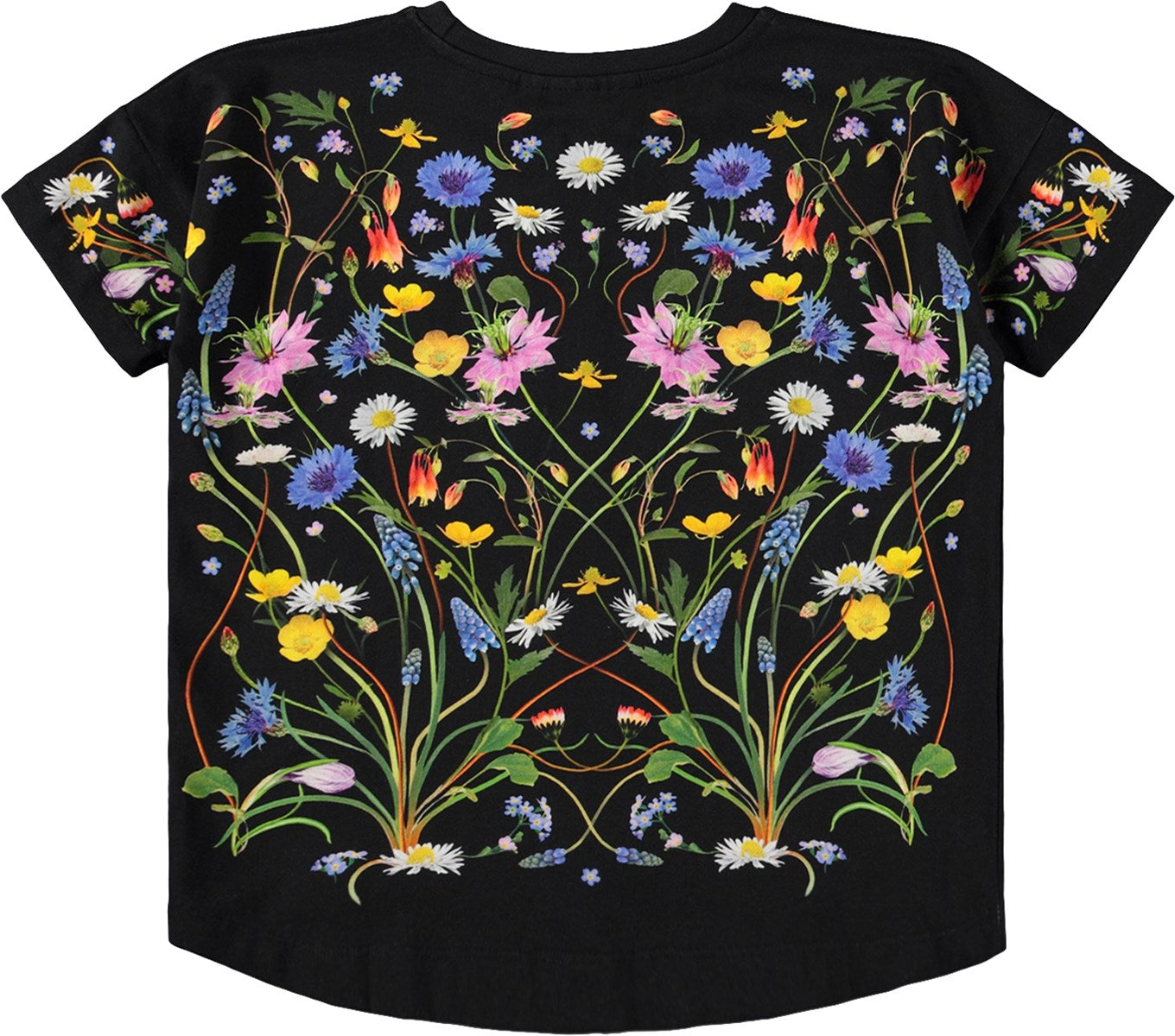 Raeesa Tee, Nouveau Butterfly - Magpies Paducah