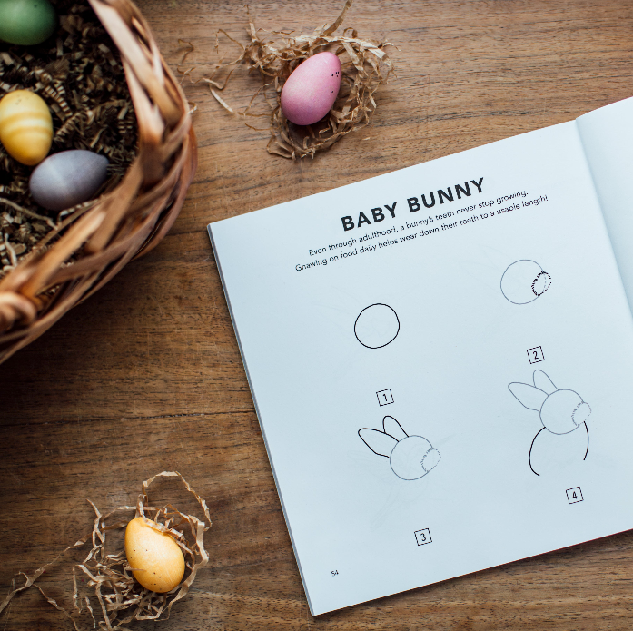 Spring Things: How to Draw Books for Kids - Magpies Paducah
