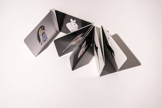 Black and White Contrast Book for Baby - Magpies Paducah