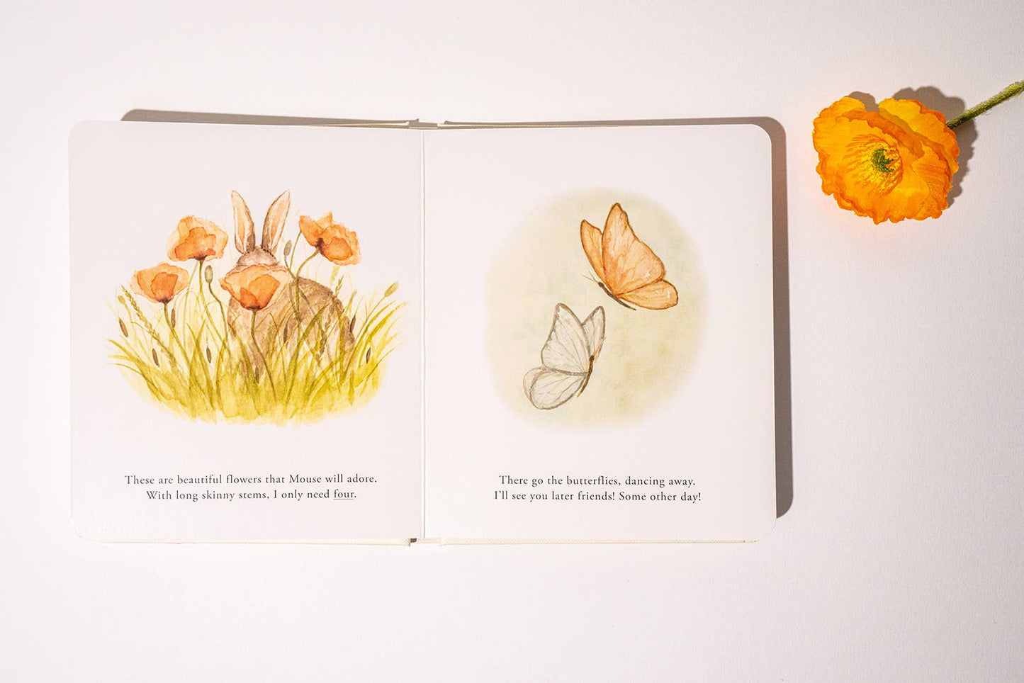 Our Little Adventures Board Book Box Set - Magpies Paducah