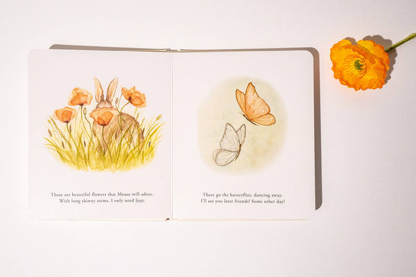 Our Little Adventures Board Book Box Set - Magpies Paducah