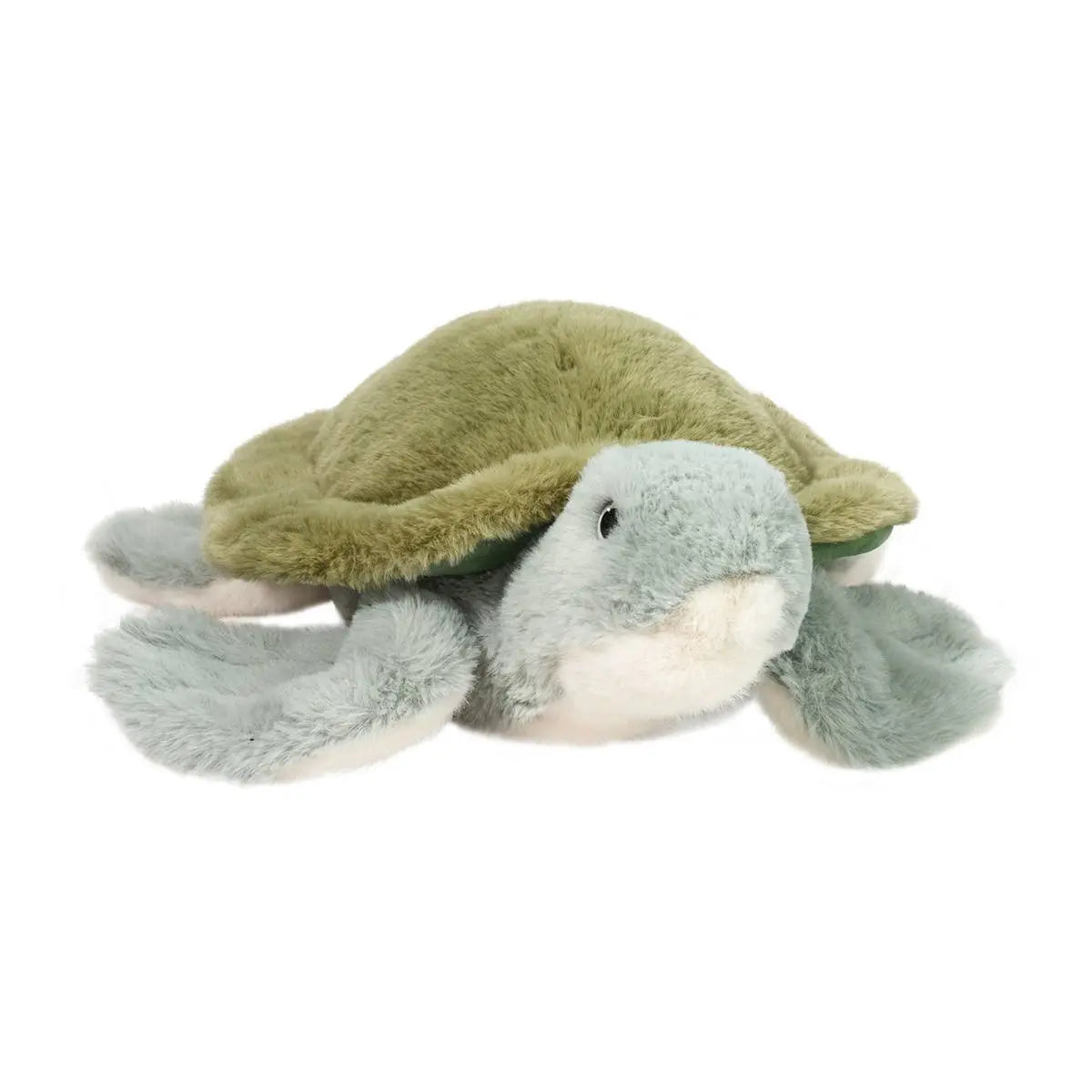 Sheldon Sea Turtle - Magpies Paducah