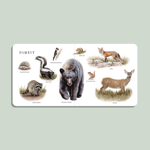 Our Big Book of Animals (Board Book) - Magpies Paducah