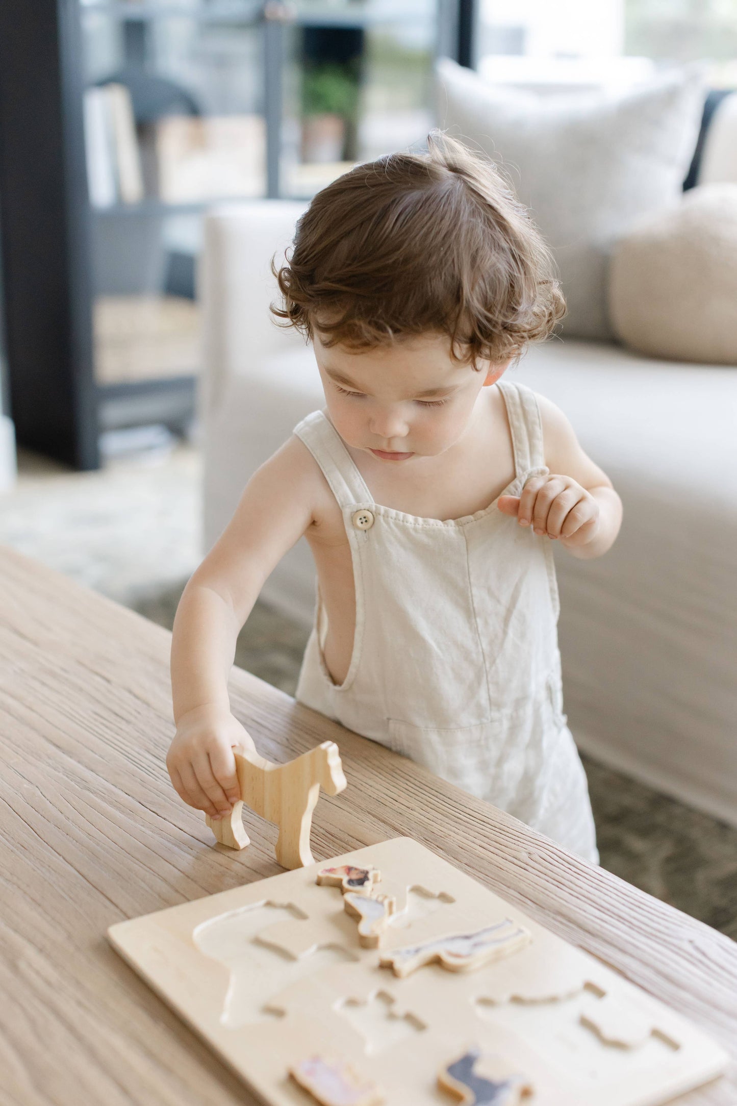 Farm Animals Wooden Puzzle: A Tabitha Paige Puzzle