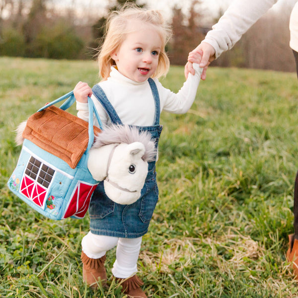 Blue Barn Bag