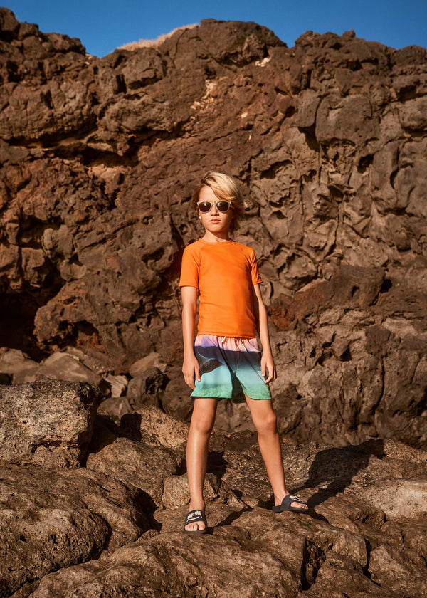 Niko Swim Trunks, Into the Sunset