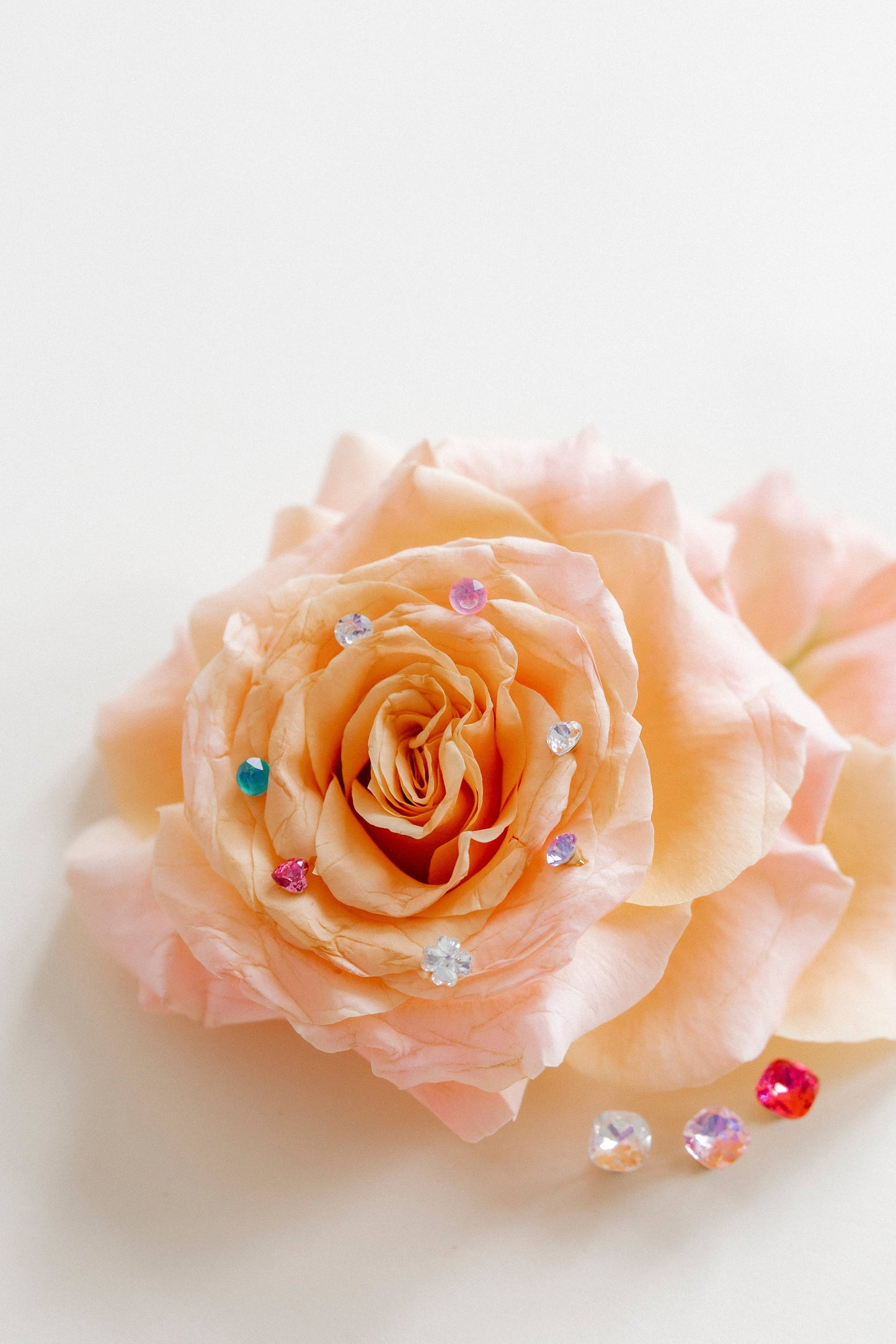 Screwback Stud Earrings Lux - Zuri Pastel Pink - Magpies Paducah