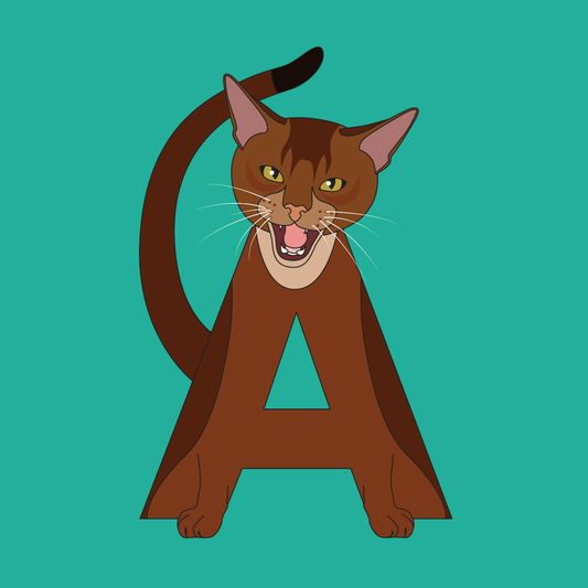 Cat Alphabet Book - Magpies Paducah