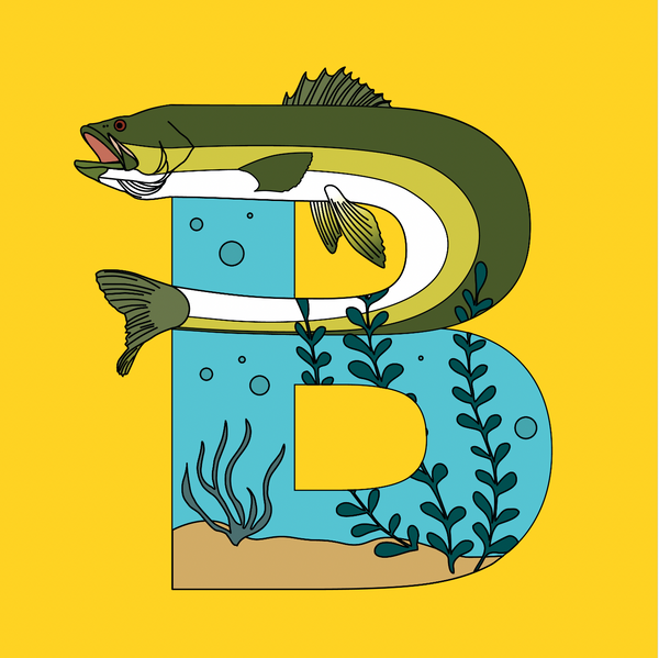Fish Alphabet Book - Magpies Paducah
