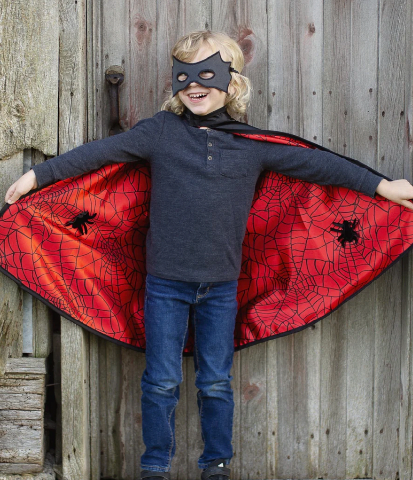 Reversible Spider/Bat Cape & Mask - Magpies Paducah
