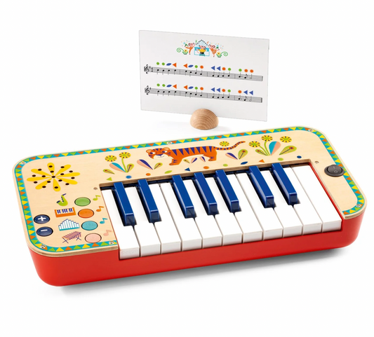 Animambo Synthesizer - Magpies Paducah