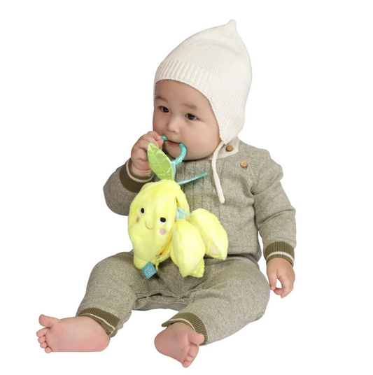 Lemon Take-Along Toy - Magpies Paducah