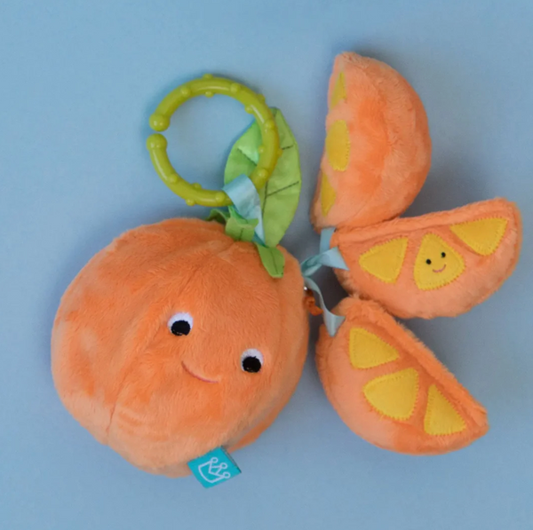 Orange Take-Along Toy - Magpies Paducah