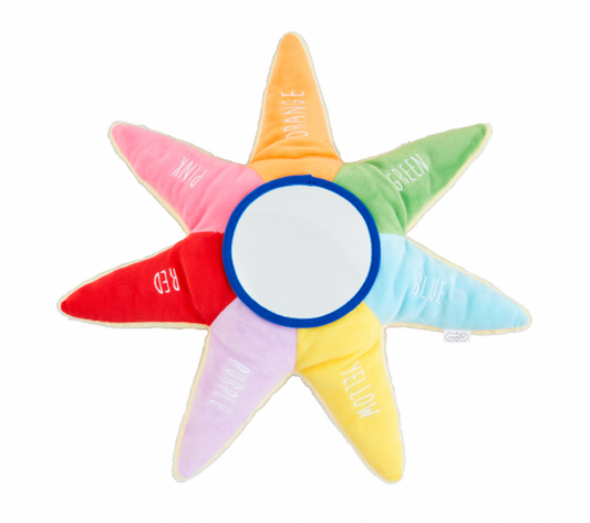 Color Learning Pal, Sun - Magpies Paducah