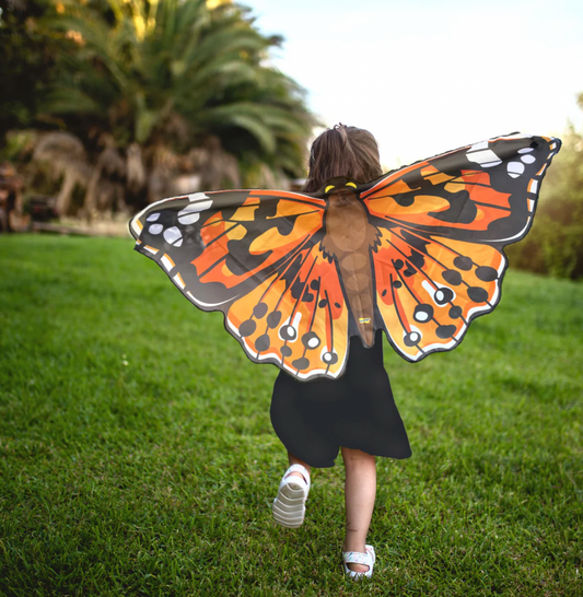 Painted Lady Butterfly Wings - Magpies Paducah