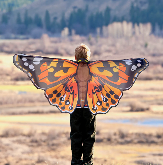 Painted Lady Butterfly Wings - Magpies Paducah