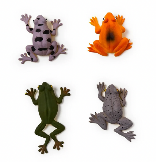 Squishy Frogs (Assorted)