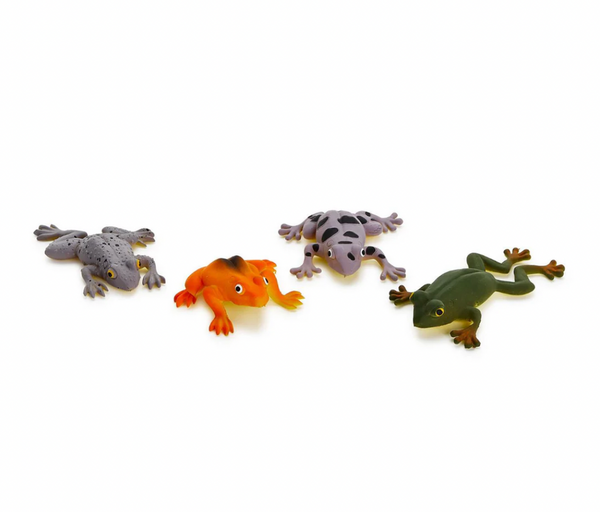 Squishy Frogs (Assorted)
