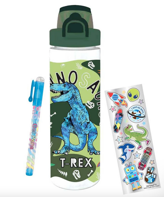 Writing Fun Water Bottle, Dinosaur - Magpies Paducah