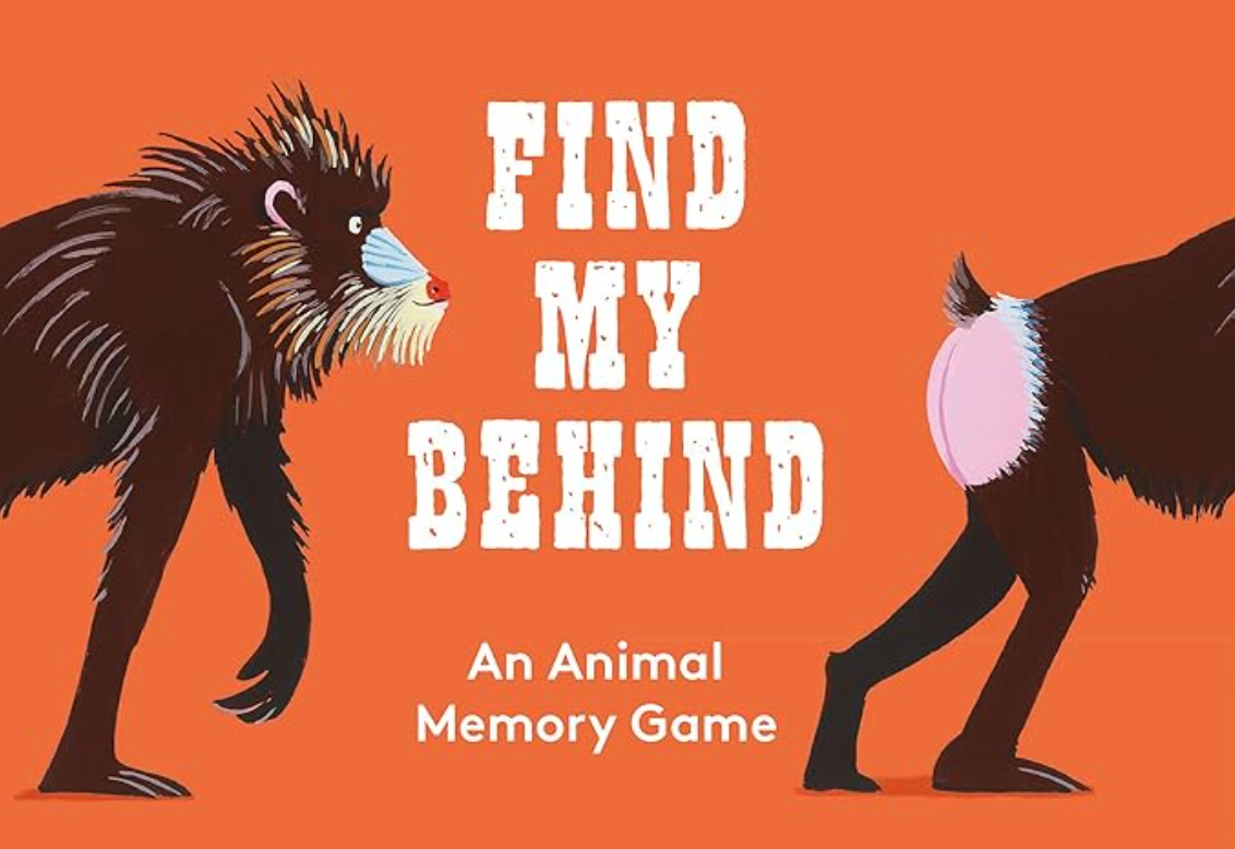 Find My Behind, Memory Game