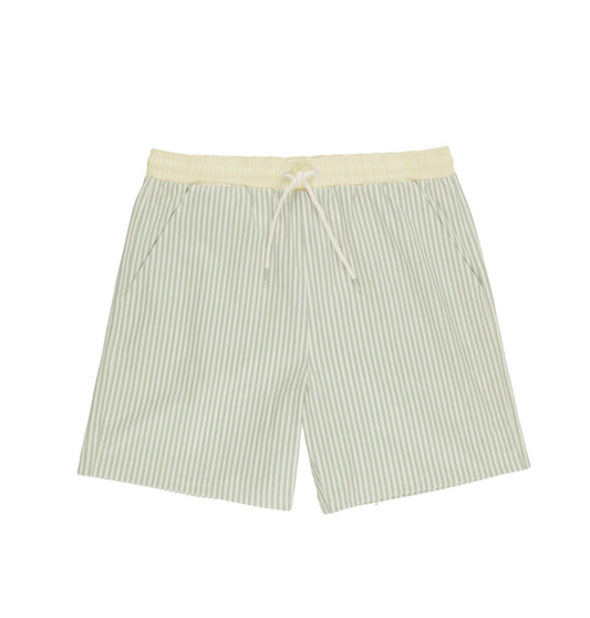 Men's Boardshort, Sage Stripe