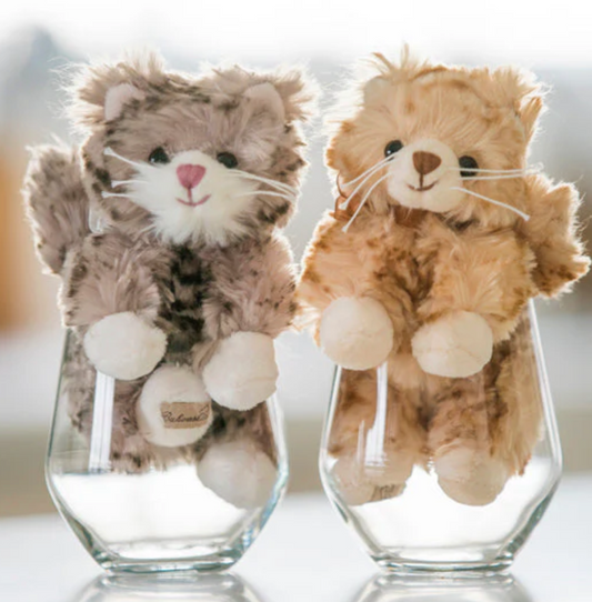 Little Maciek - Magpies Paducah