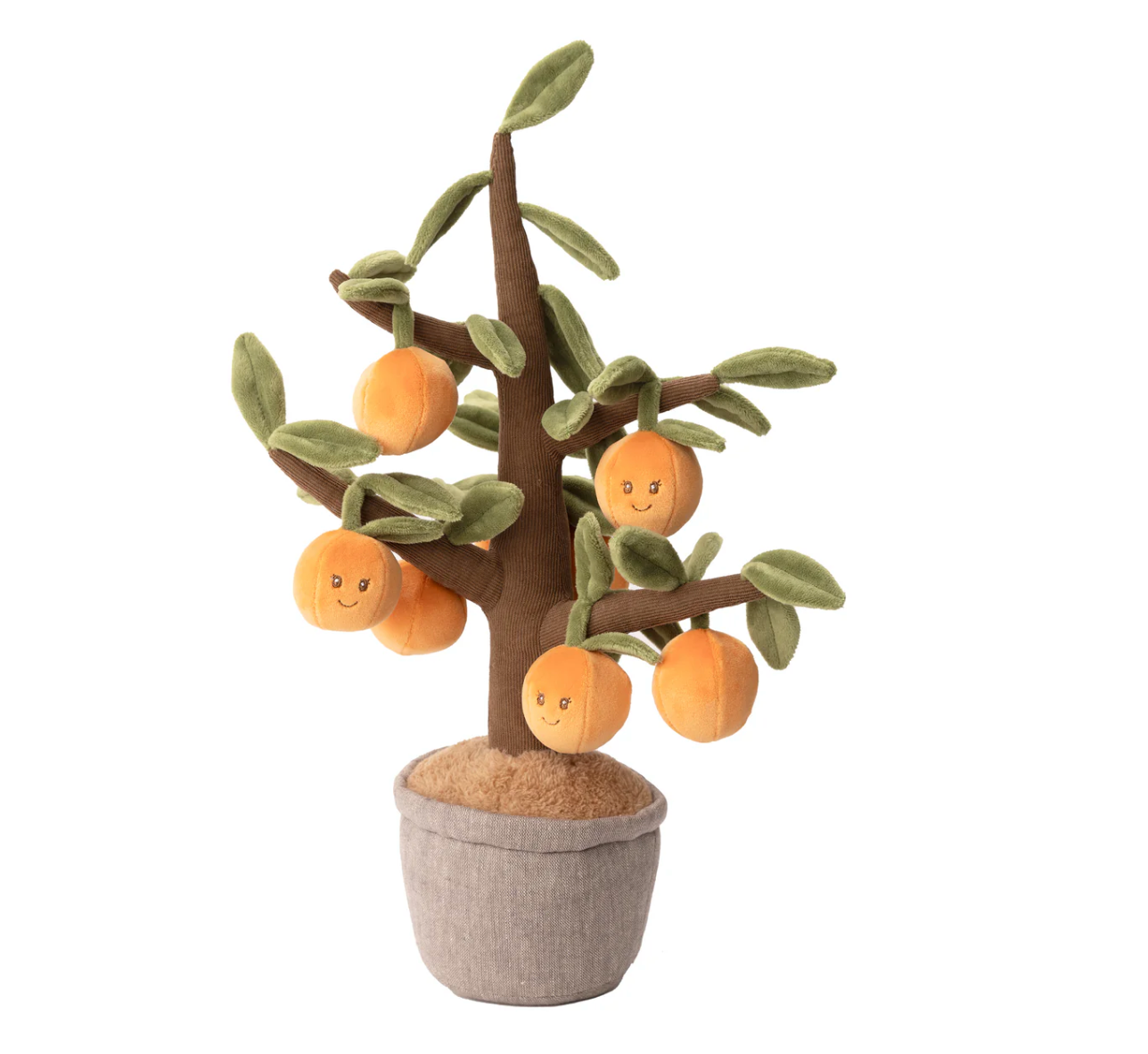 Orange Tree